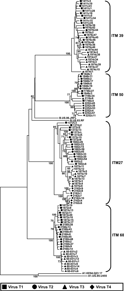 FIG. 5.