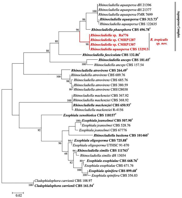 Fig 3