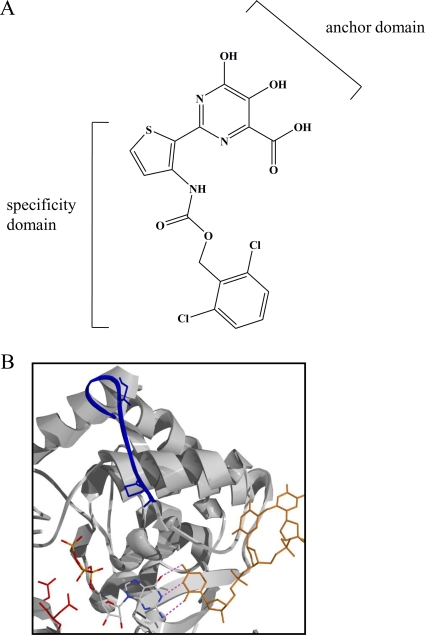 FIG. 1.