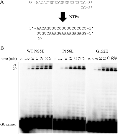 FIG. 2.