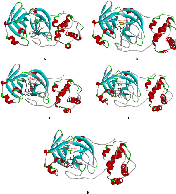 Fig 5