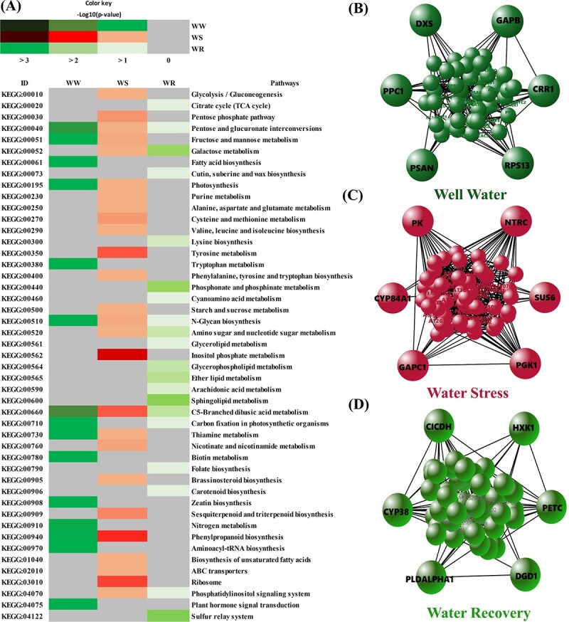 Figure 10