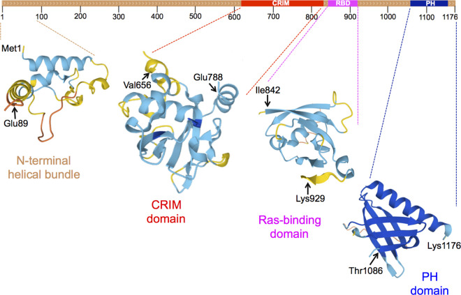 Figure 1.