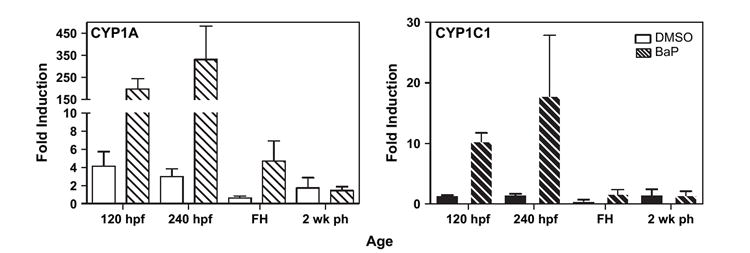 FIG. 7