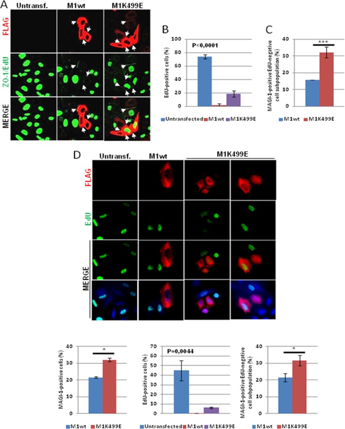 FIG 6