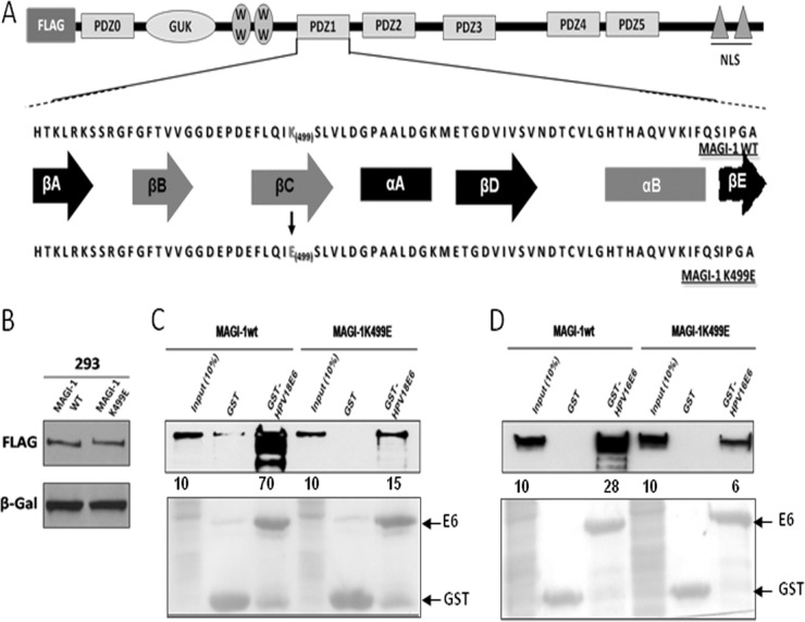 FIG 1