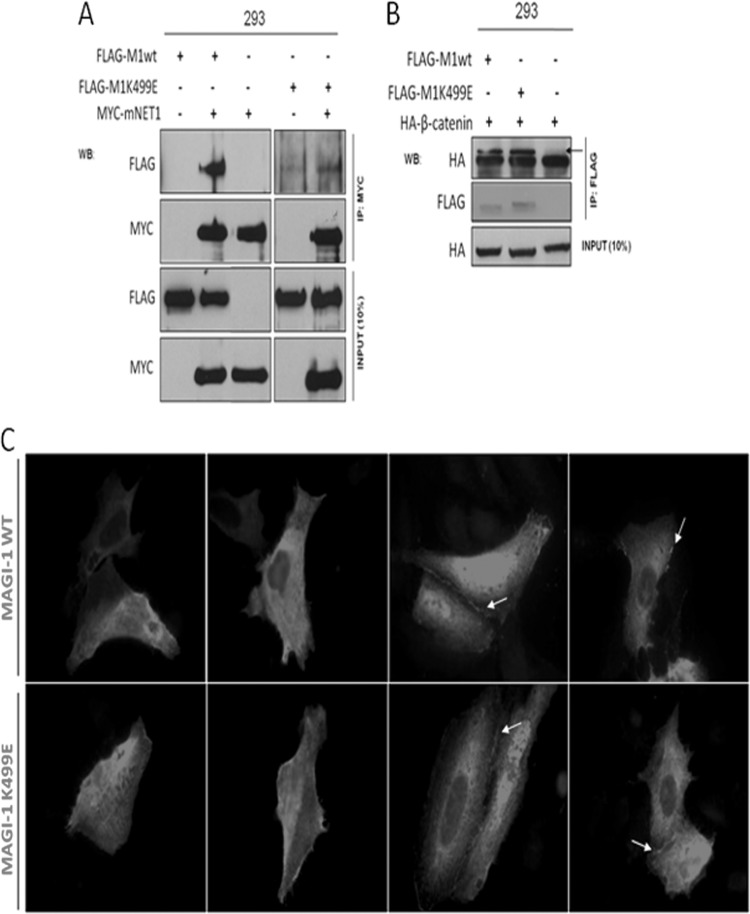 FIG 3