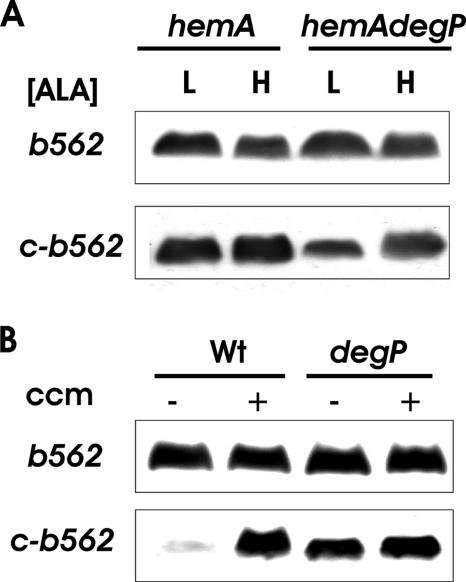 FIG. 5.