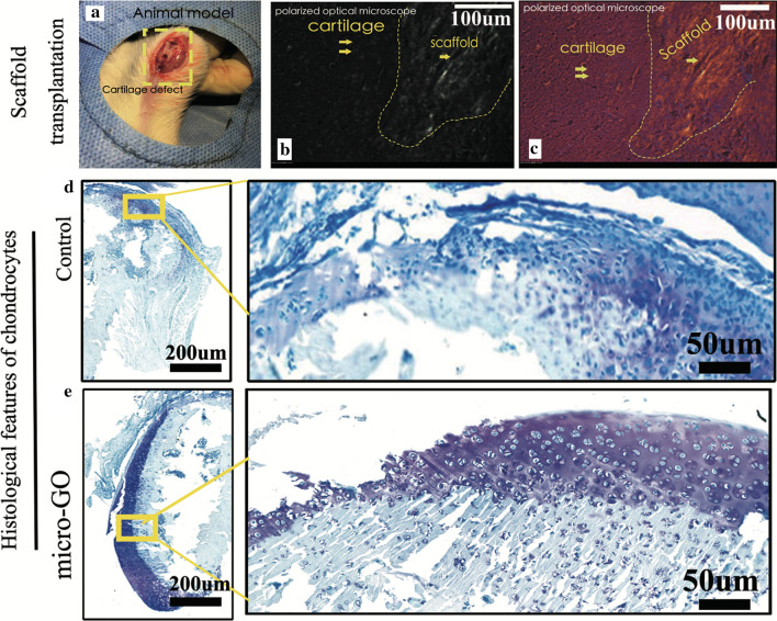 Fig. 7