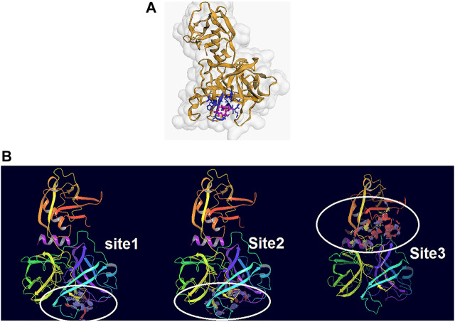 FIGURE 2