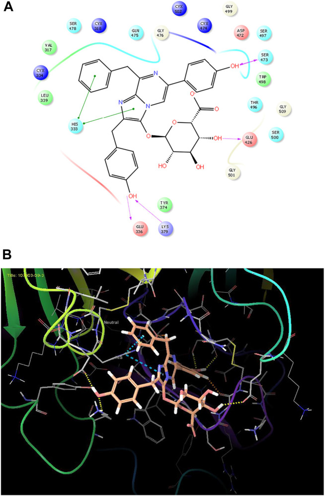 FIGURE 4