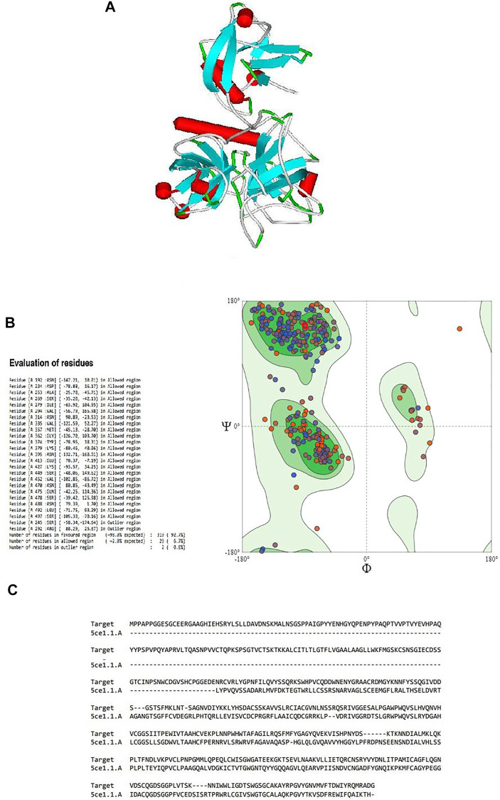 FIGURE 1