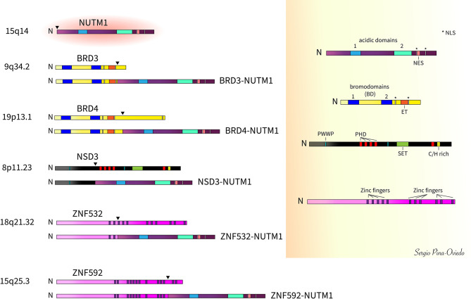 Figure 2