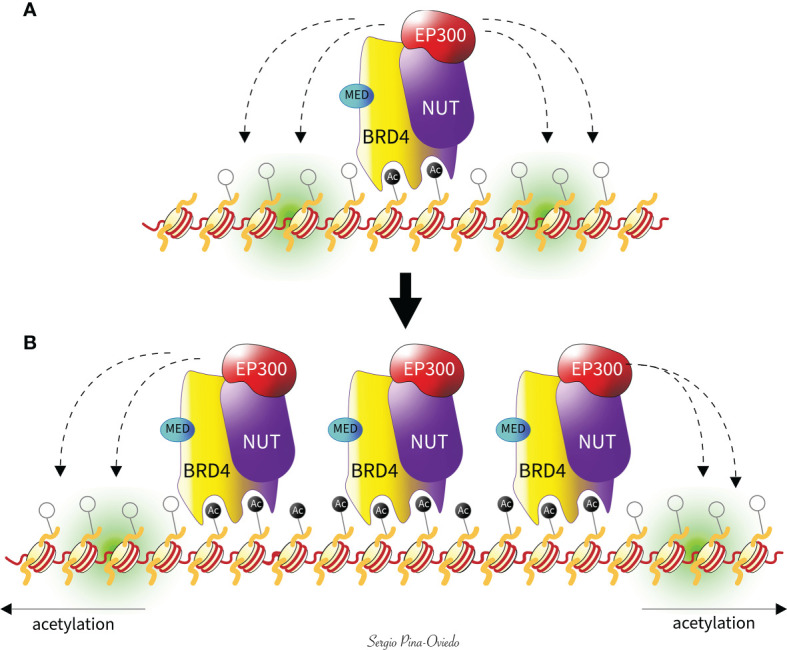 Figure 3