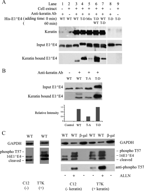 FIG. 6.