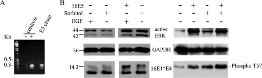 FIG. 8.