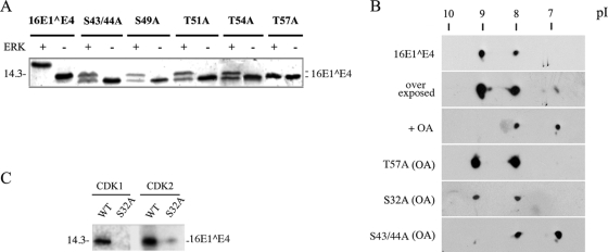 FIG. 3.