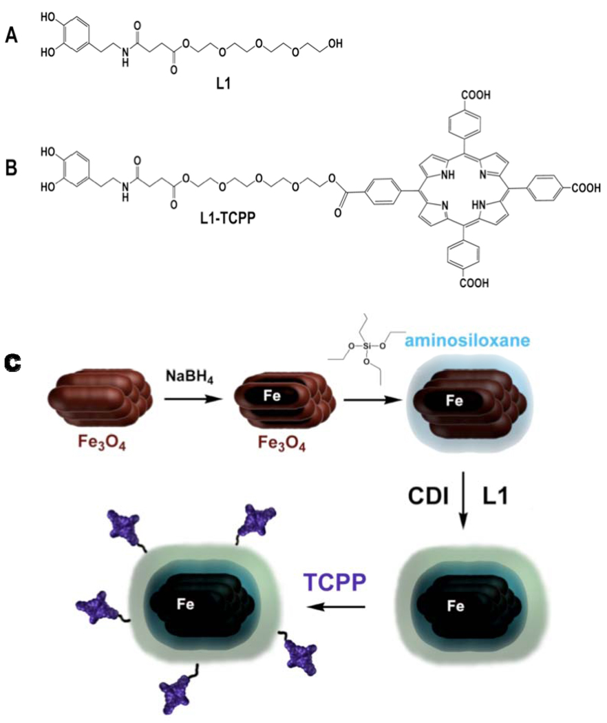 Scheme 1