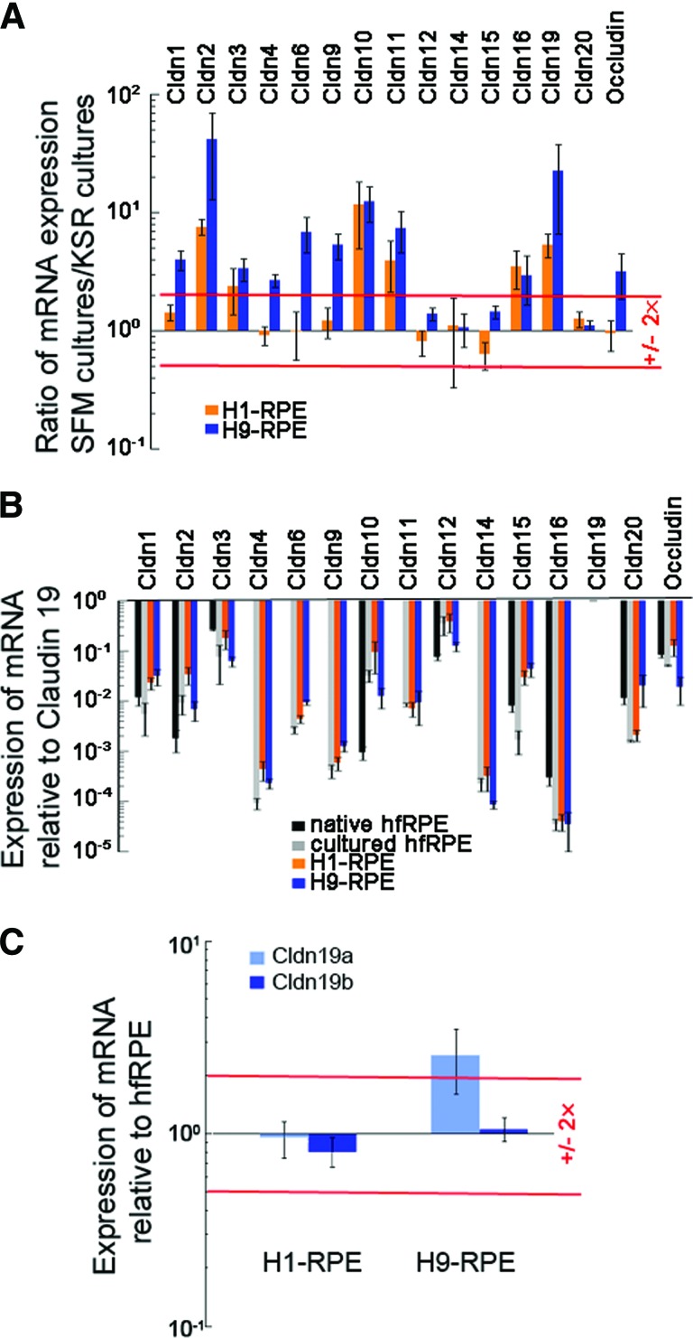 Figure 4.