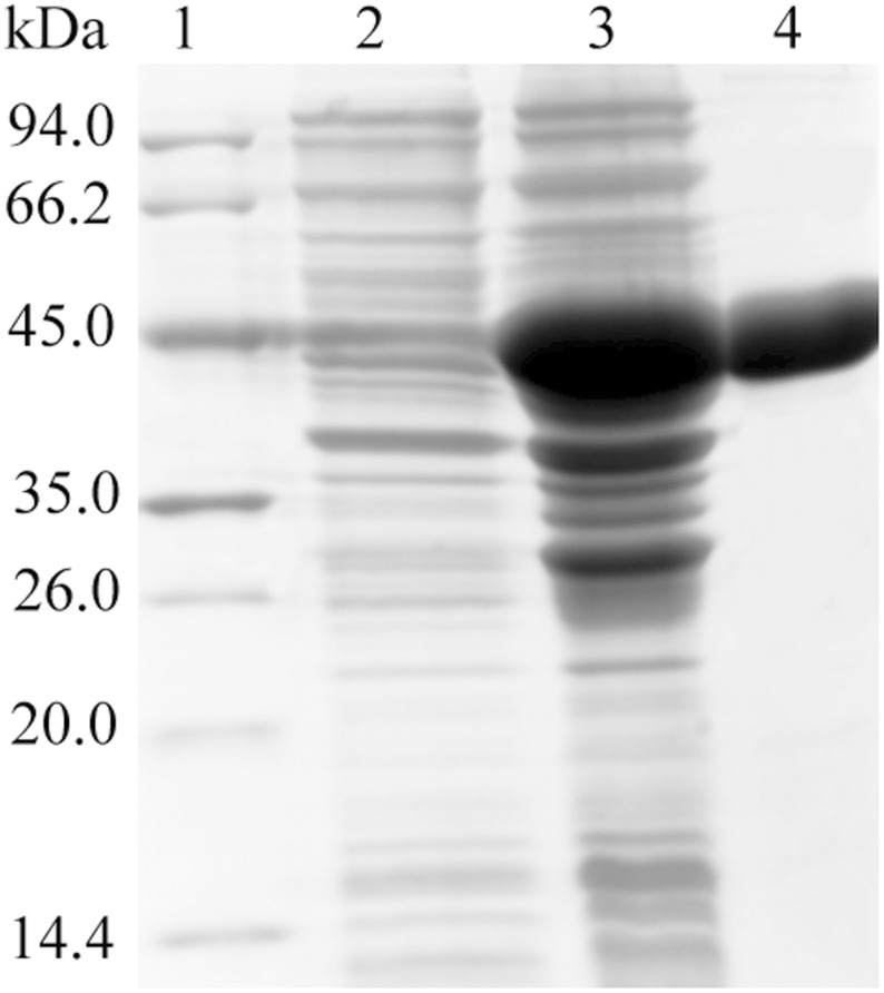 Figure 4