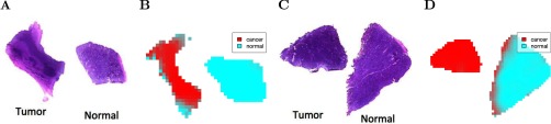 Fig. 7.