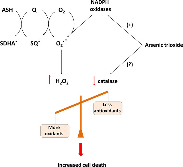 Fig. 4