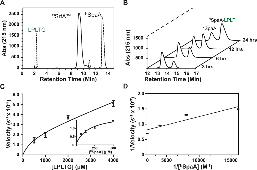 Figure 2.