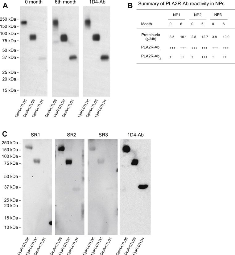 Figure 10