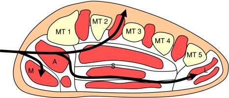 Fig. 3