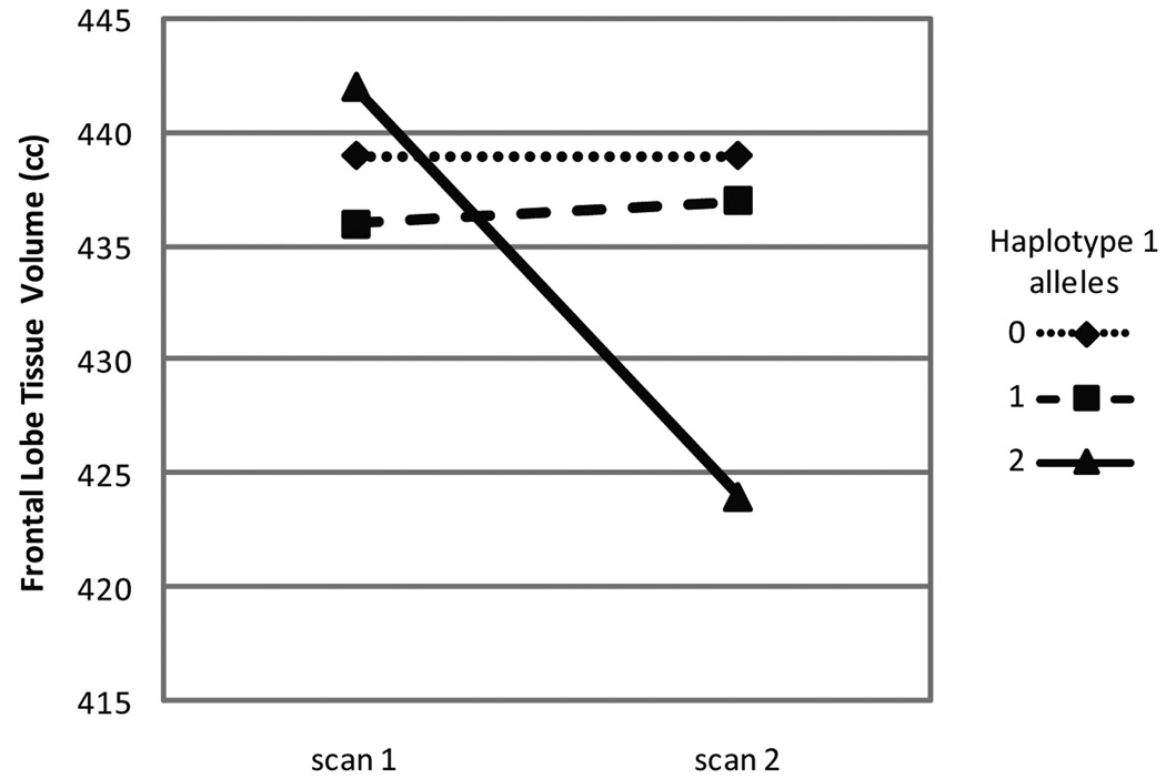 Average frontal lobe volumes at time 1 and time 2 MRI scans for haplotype 1 genotype groups