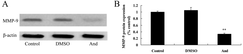 Figure 9.