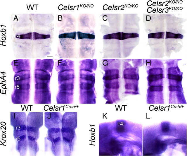 Figure 6.