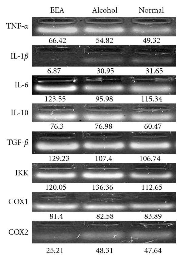 Figure 10