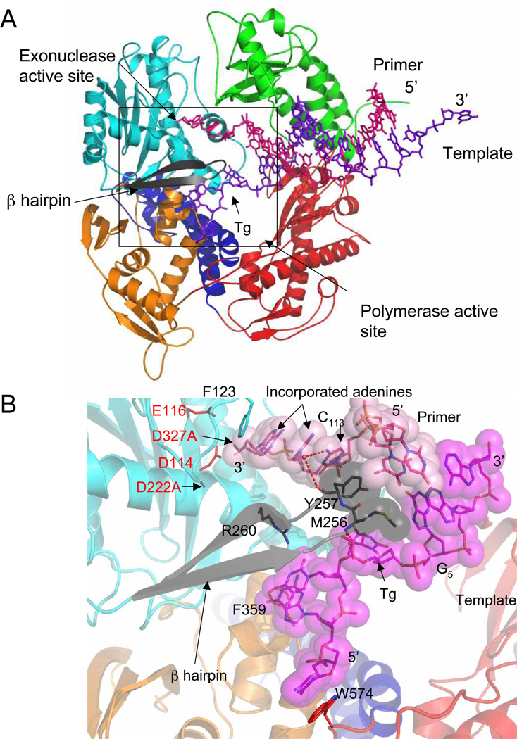 Figure 4