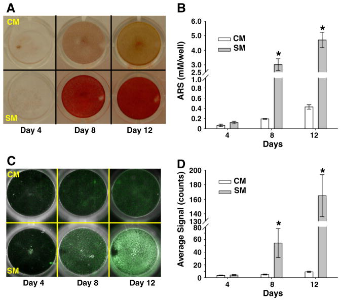 Fig. 4