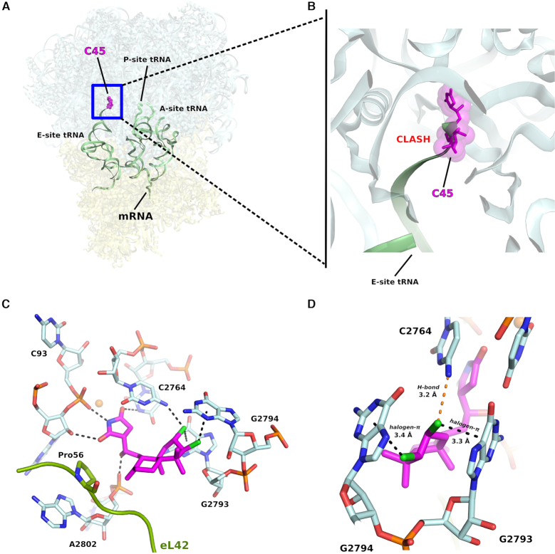 Figure 2.