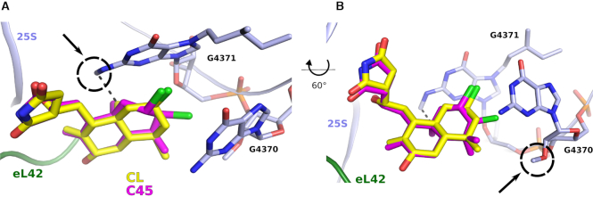 Figure 5.