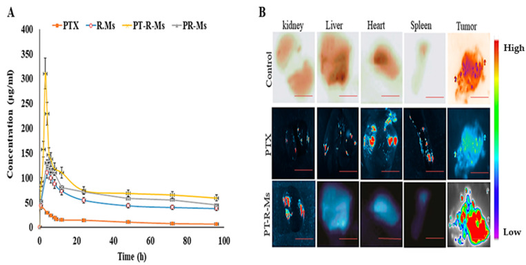 Figure 12