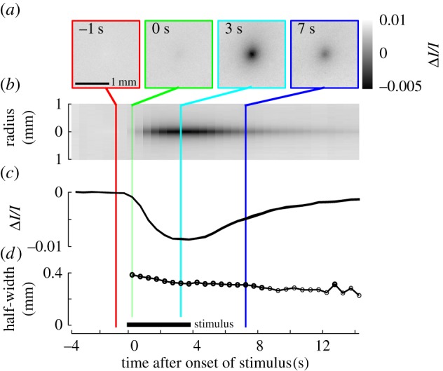 Figure 2.