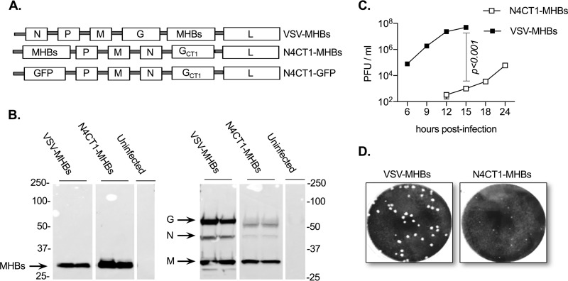 FIG 1