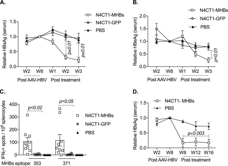 FIG 6