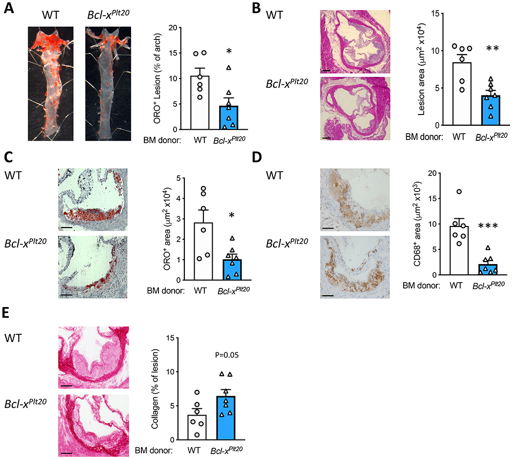 Figure 2: