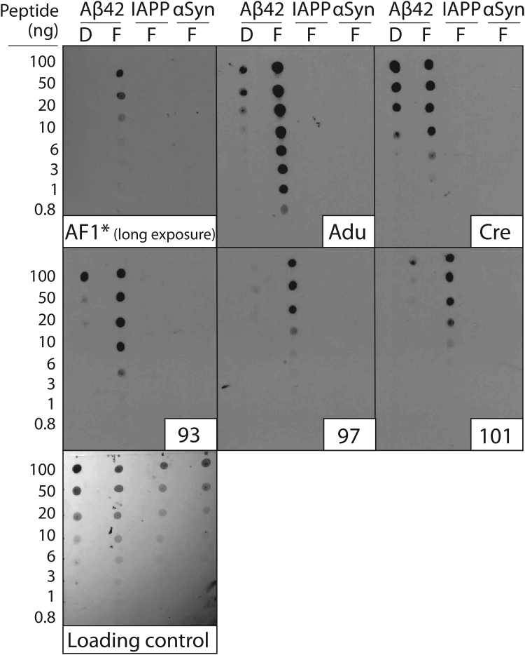 Figure 6