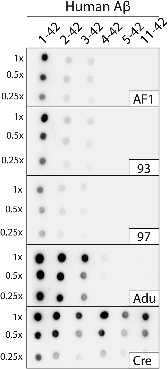 Figure 7