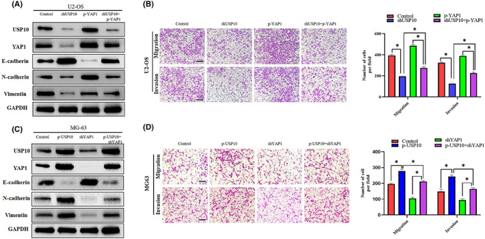 FIGURE 6