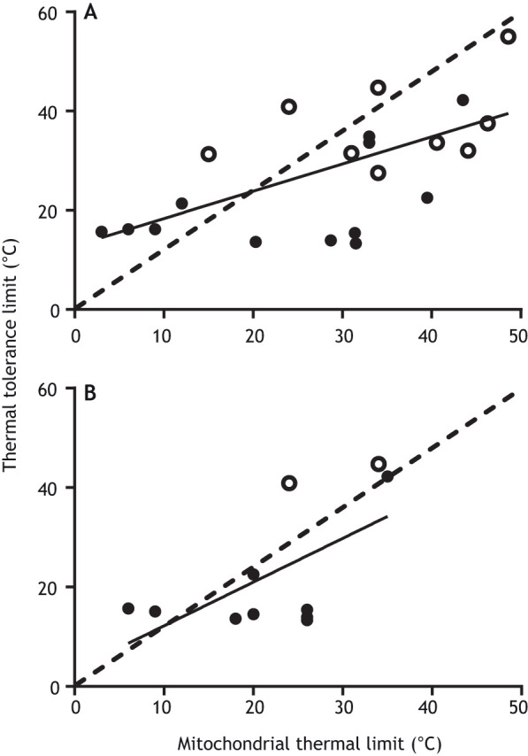 Fig. 2. Relationship between mitochondrial and whole-organism critical thermal limits across species. Relationship between the (A) upper thermal breakpoint of state III mitochondrial respiration and (B) mitochondrial coupling ratio (RCR) and whole-organism upper critical thermal limits (e.g. CTmax) across ectothermic species. Filled circles are data for vertebrates, open circles for invertebrates (data in Table S1; species with data from multiple acclimation temperatures are represented by a single acclimation temperature closest to their habitat temperature). Dashed line is the line of unity. Solid line is the fit to a simple linear regression (A: y=0.55x+12.84, r2=0.39, P<0.001; B: y=0.88x+3.37, r2=0.37, P<0.05).