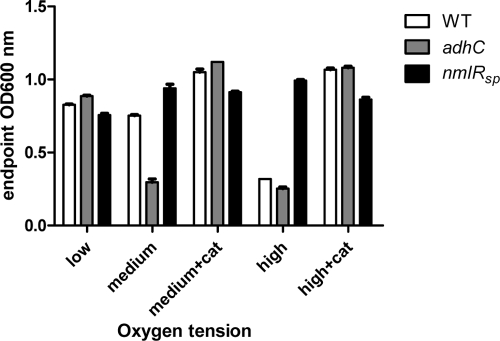 FIG. 2.