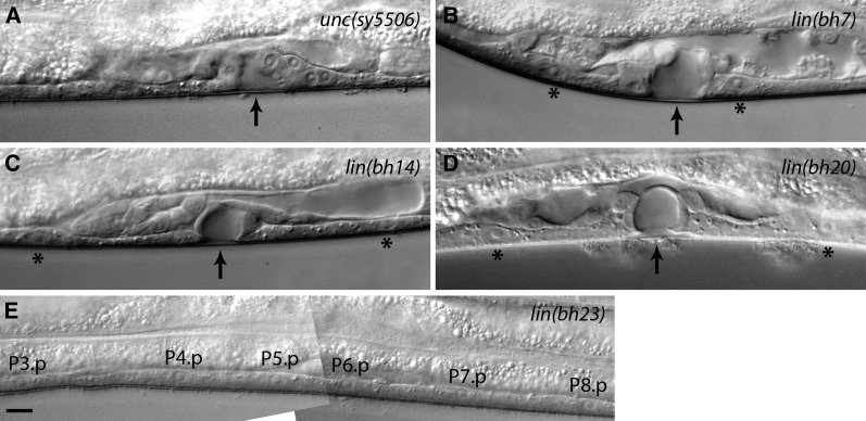 Figure 3 