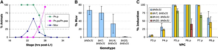 Figure 4 