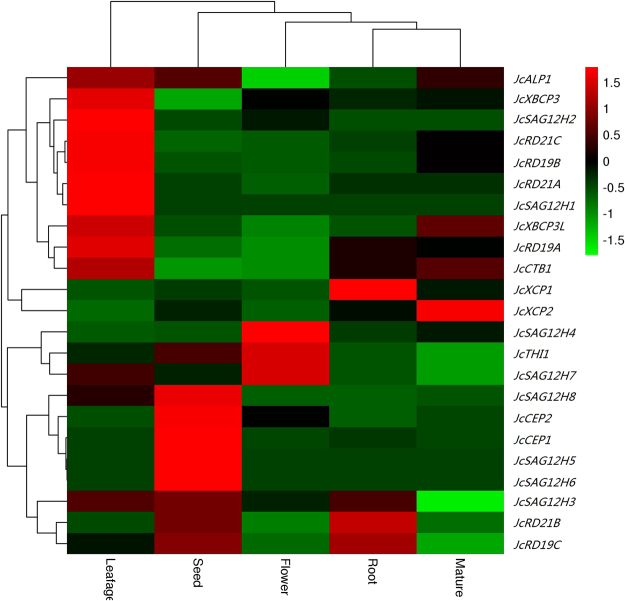 Figure 6